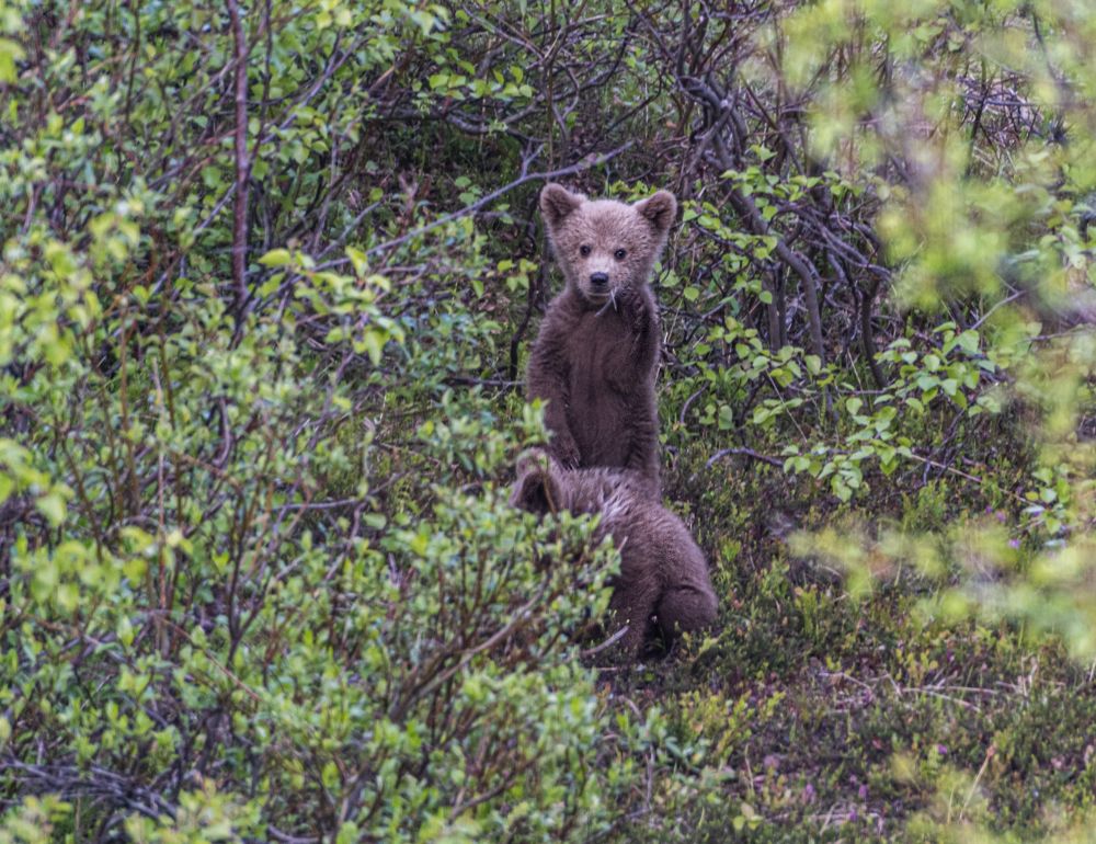 Photograph by Савчук Сергей