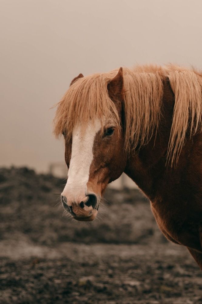 Photograph by Татьяна Черналецкая