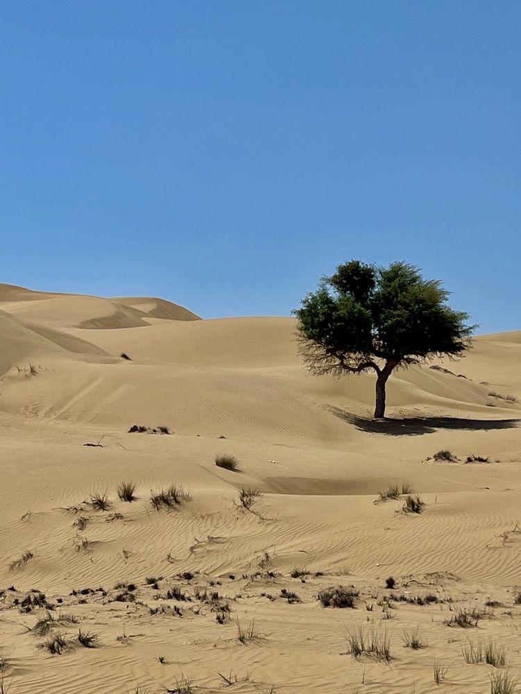 Photograph by Shahriar Robin