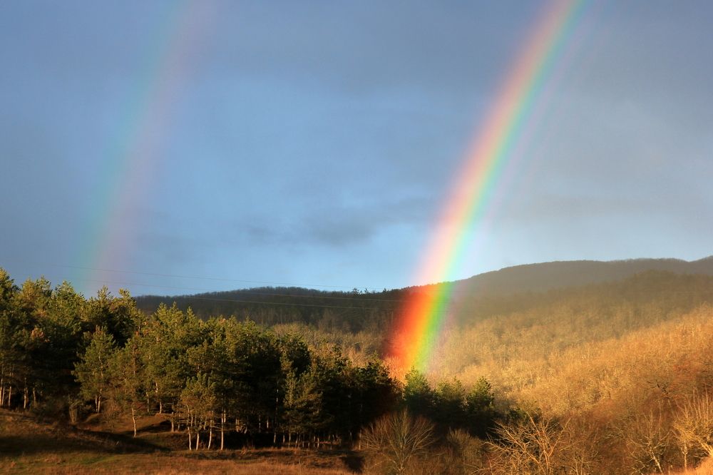 Photograph by Евгения Загудаева