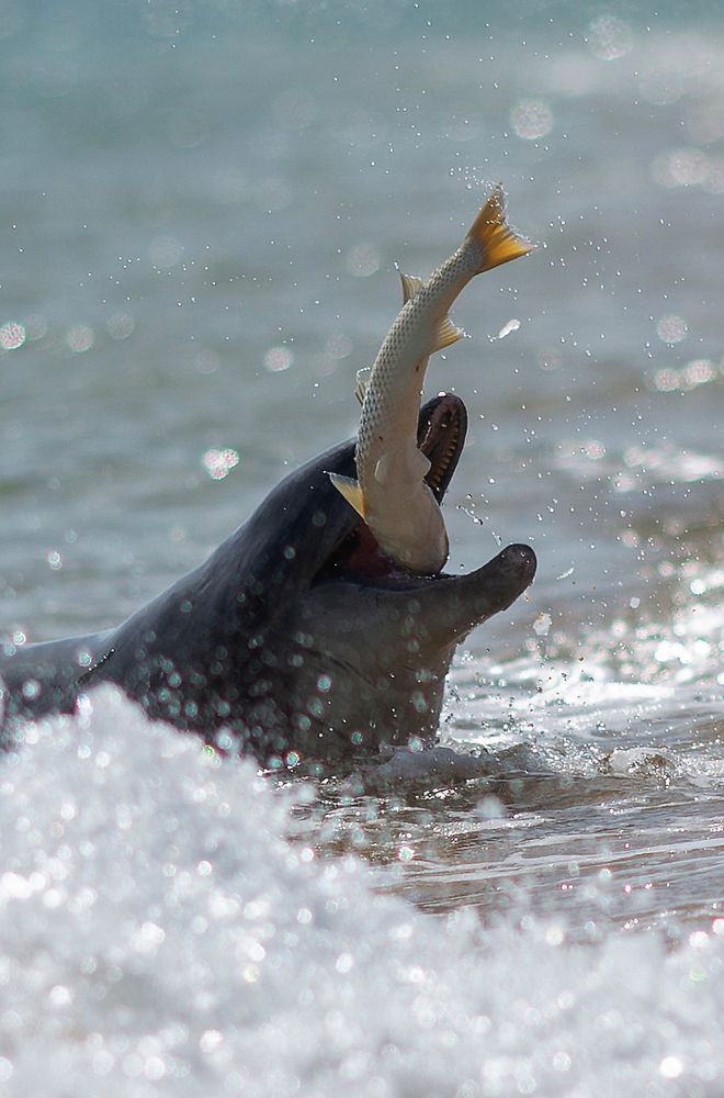 Photograph by Щепотина Татьяна