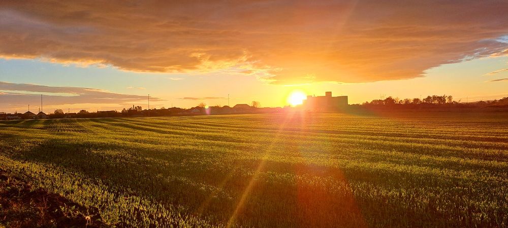 Photograph by SANDRA BOGDANOVIĆ