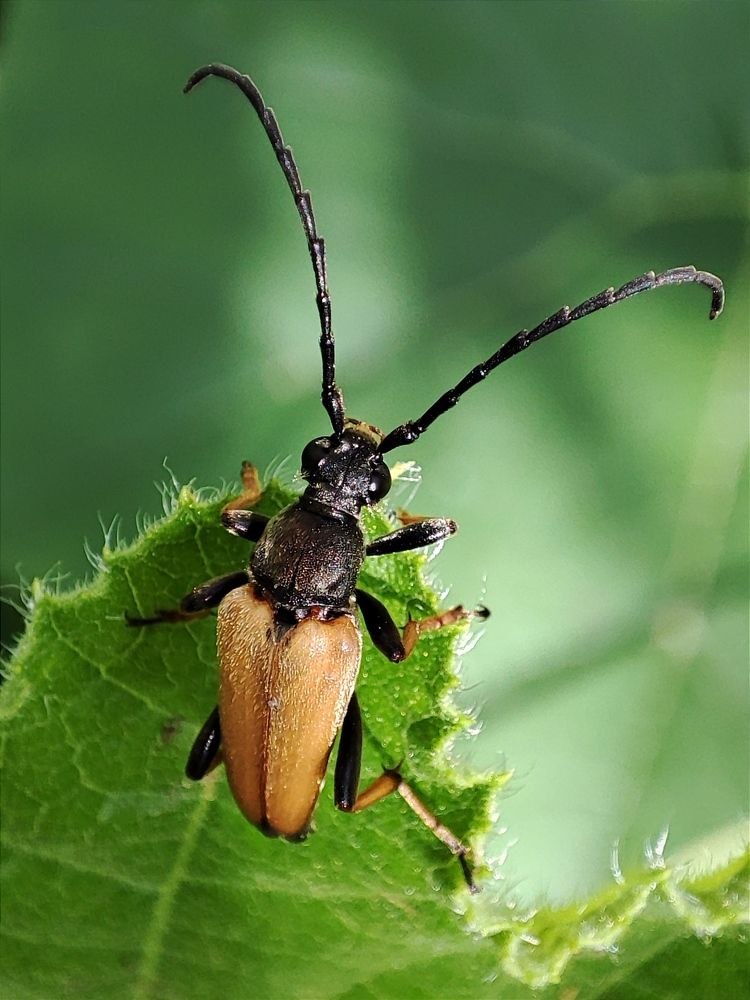 Photograph by Galina Novichkova