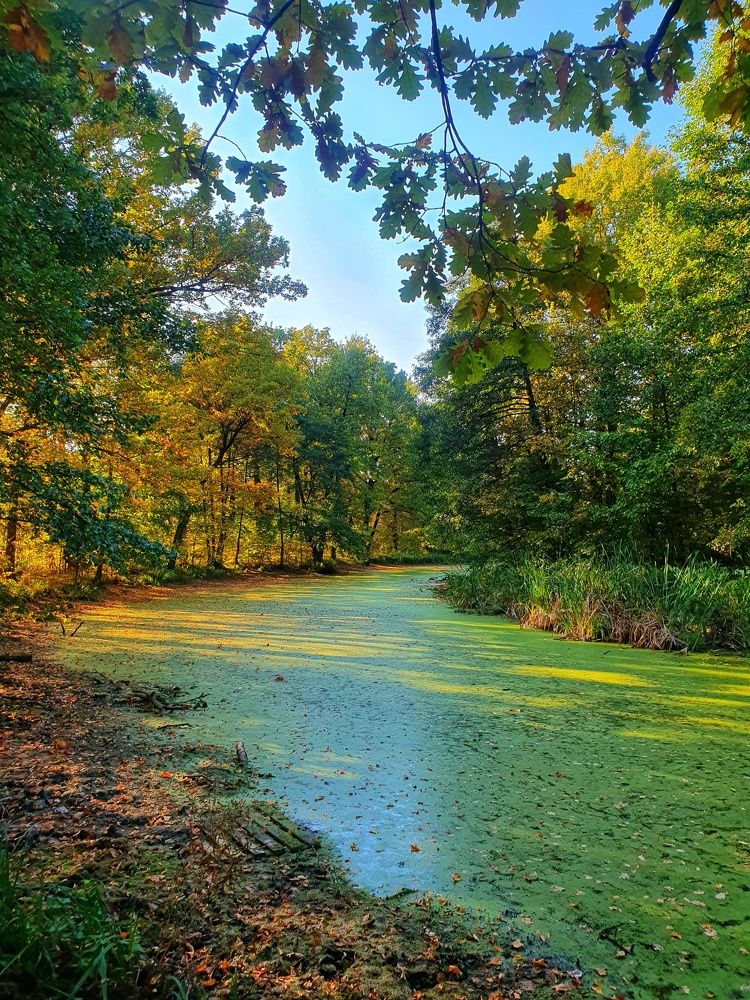 Photograph by Олег Титкин