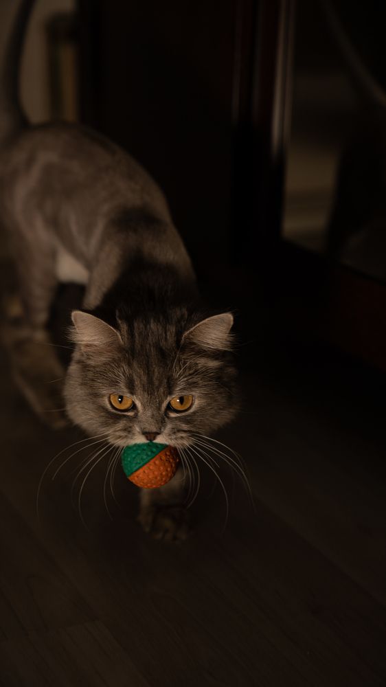 Photograph by Алина