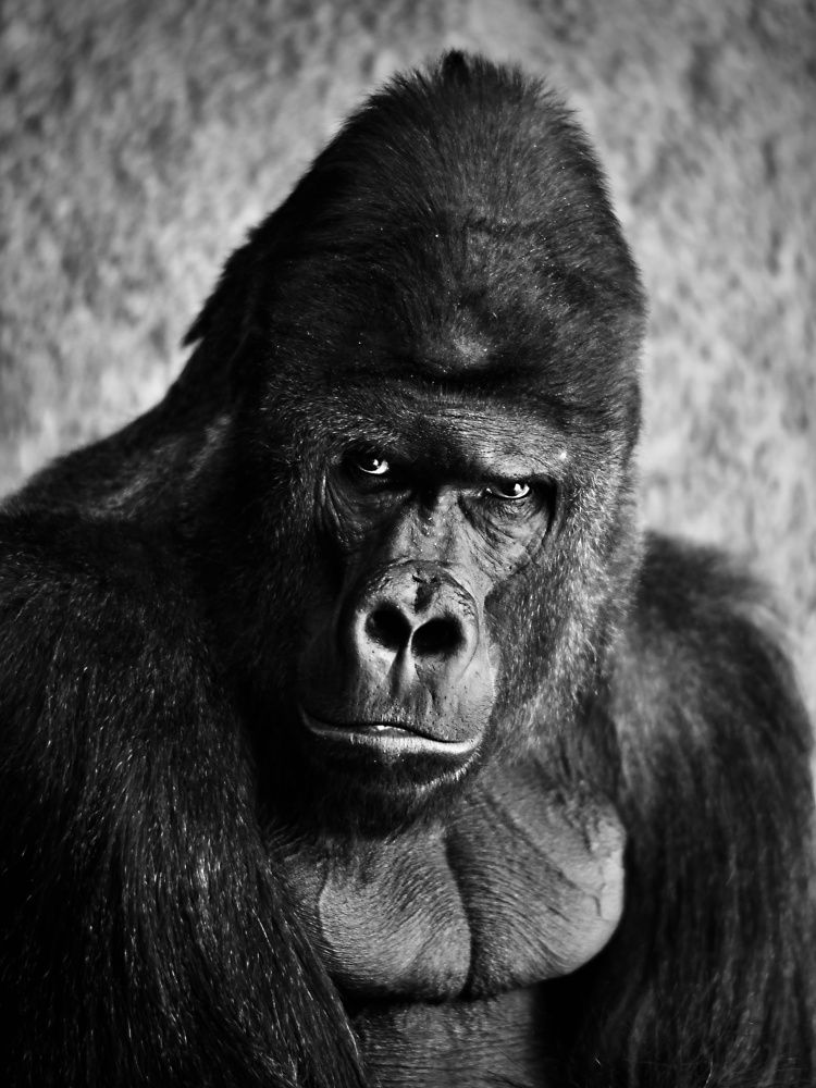 Photograph by Radek Holy