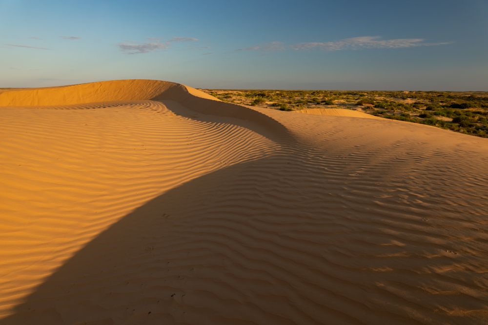 Photograph by Светлана Тараканова