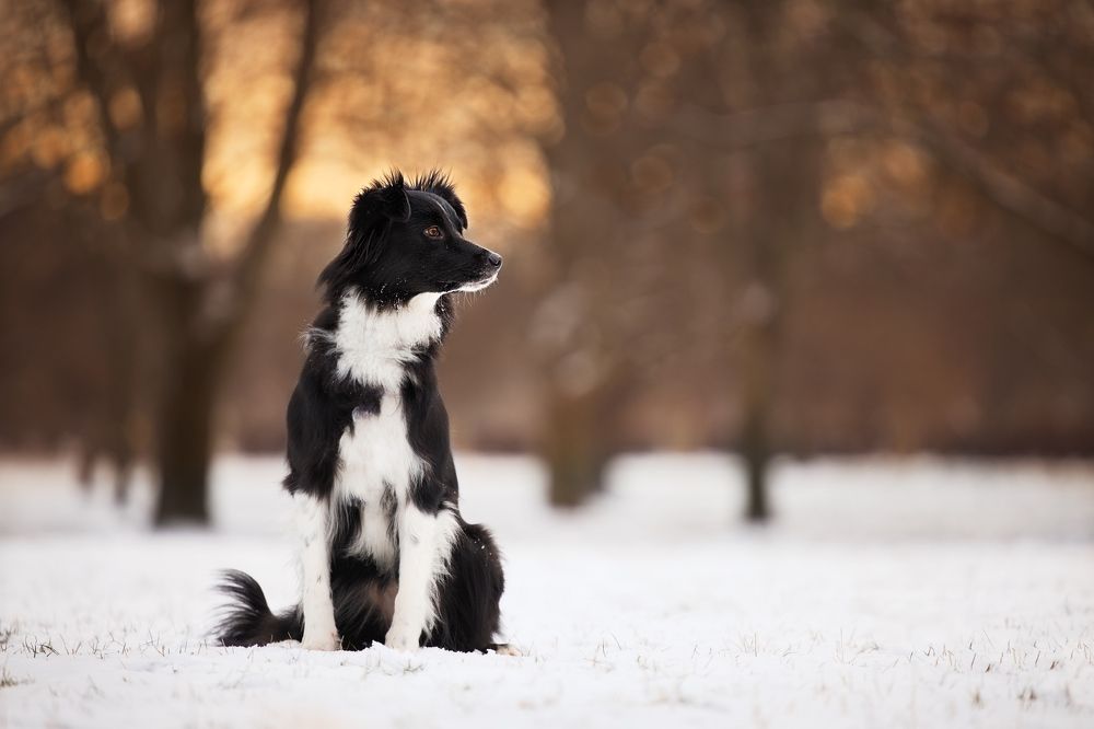 Photograph by Monika Maciejewska