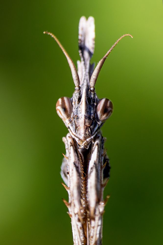 Photograph by Елена Чистова