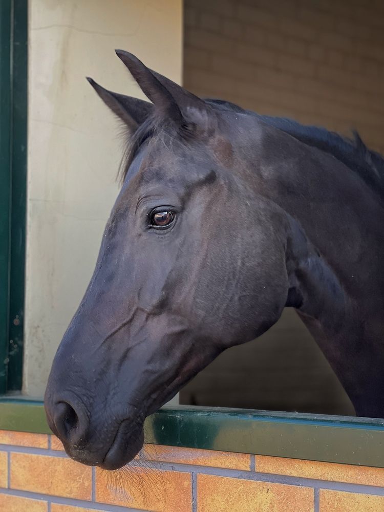 Фотография автора Olga Klyueva