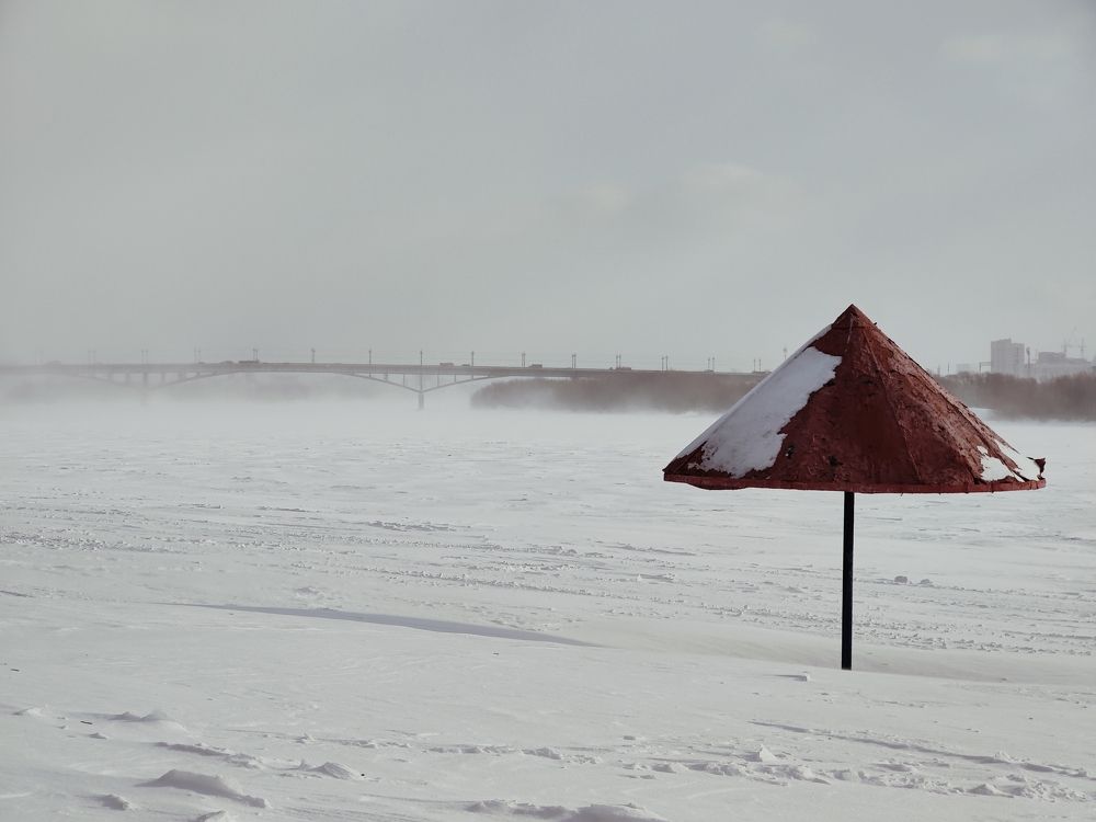 Photo #10406214