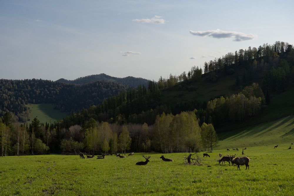 Photograph by Денис Карачёв