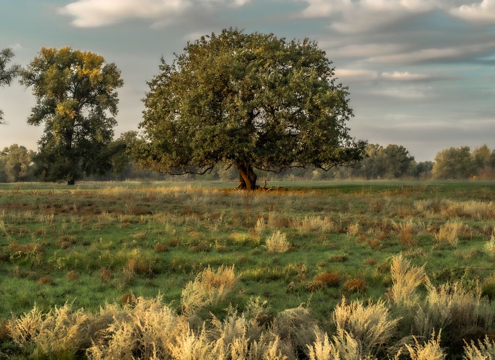 Photograph by Васильев Роман