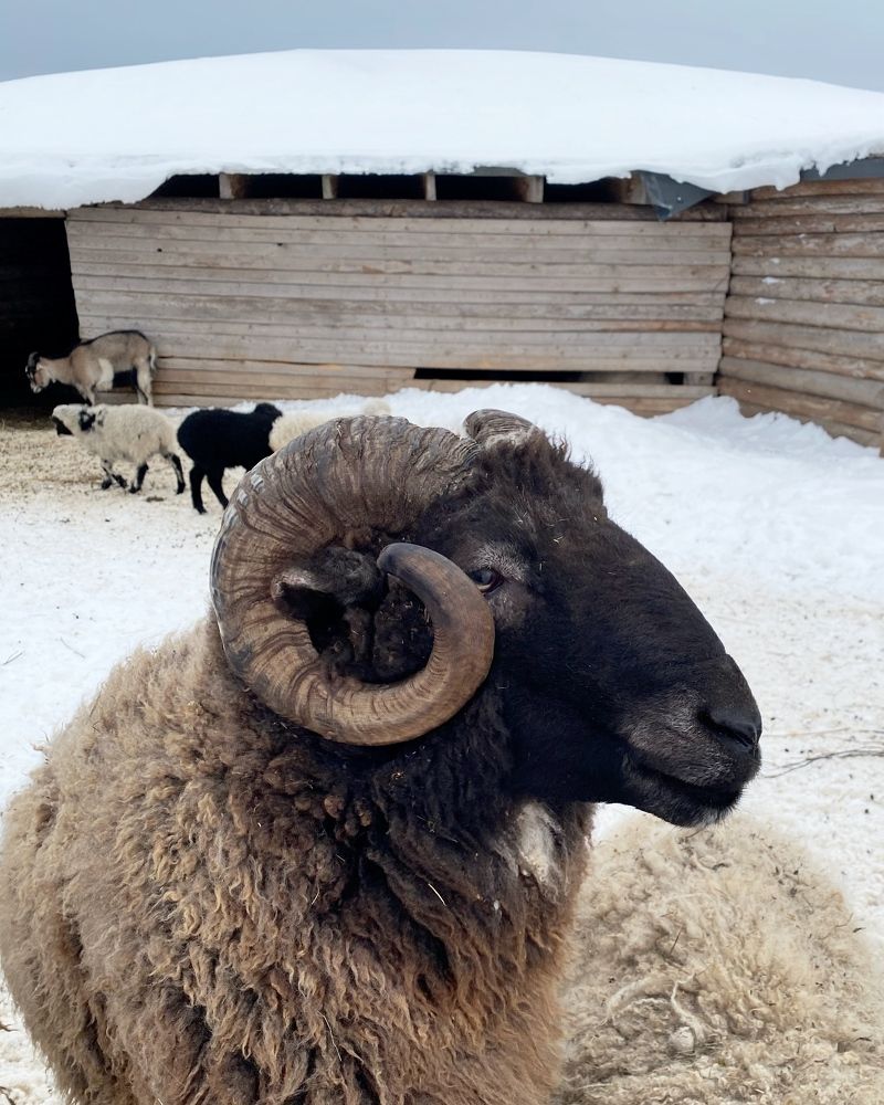 Фотография автора Мария Жданова