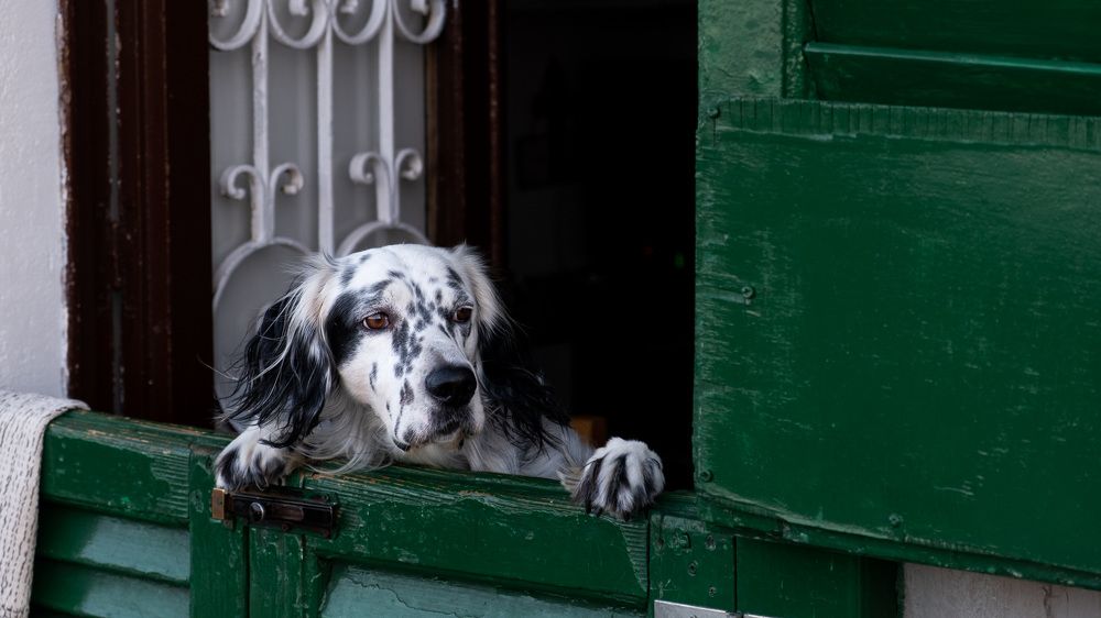 Photograph by Anna Agaltsova