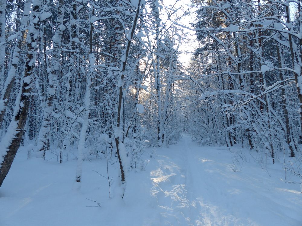 Photograph by Георгий Салюков