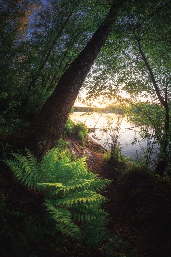 Фотография автора Котов Андрей