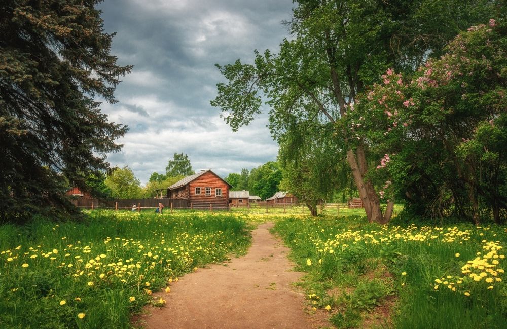 Фотография автора Котов Андрей