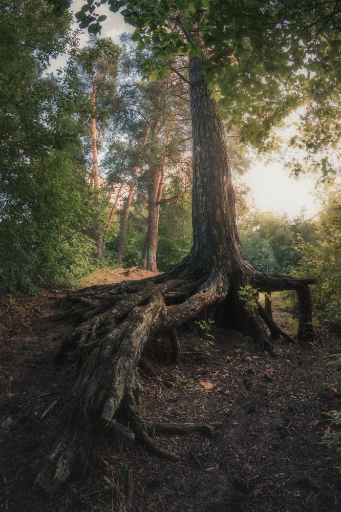 Фотография автора Котов Андрей