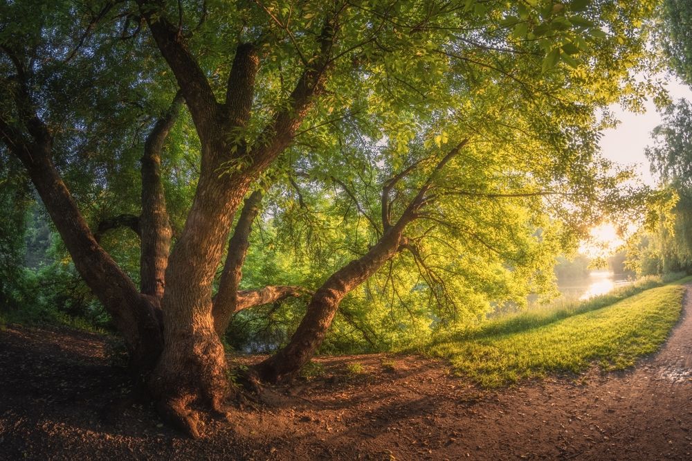 Фотография автора Котов Андрей