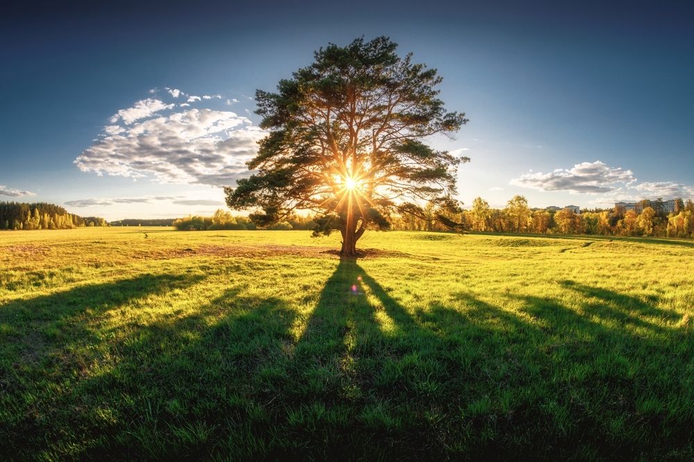 Фотография автора Котов Андрей