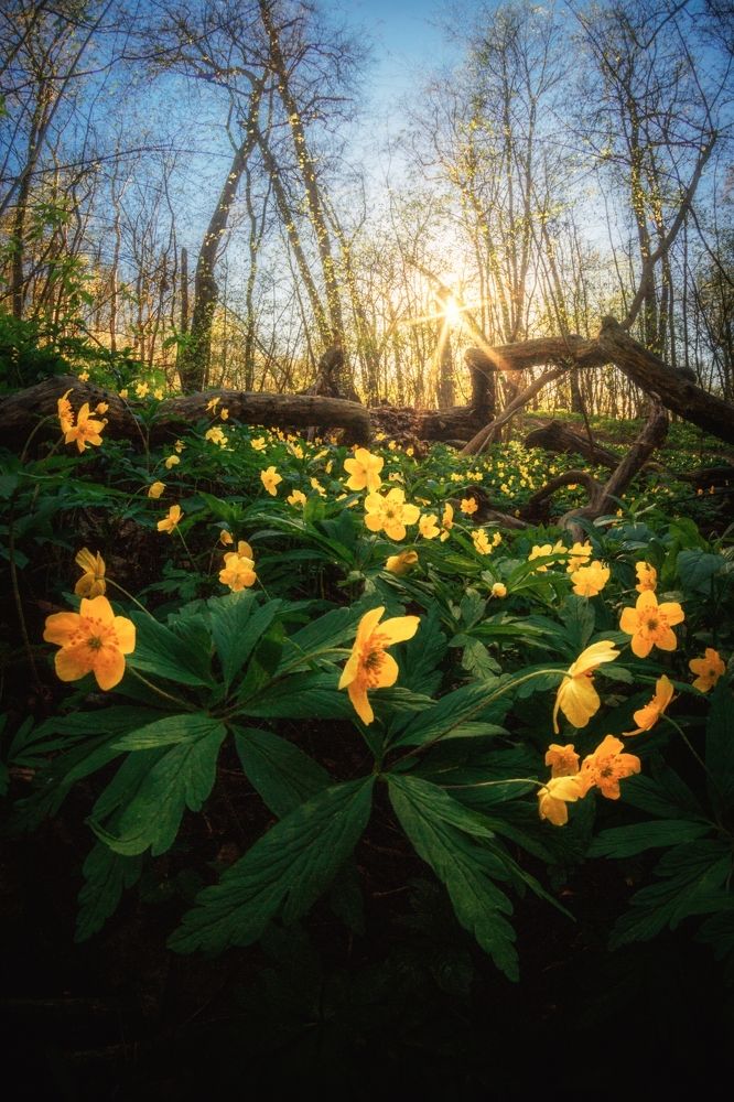 Фотография автора Котов Андрей
