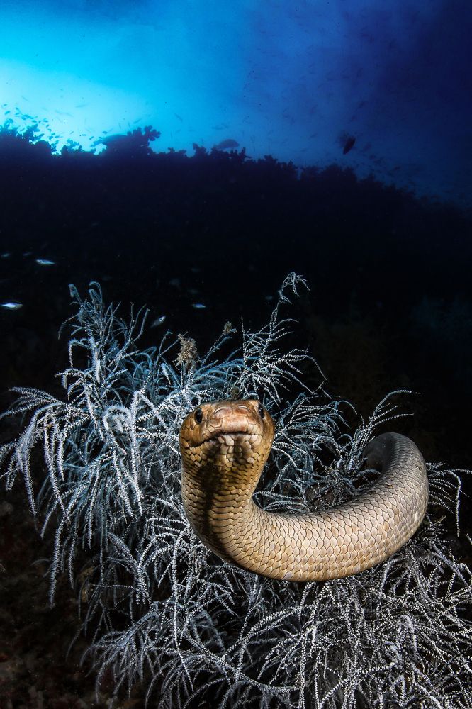 Фотография автора Paula Vianna