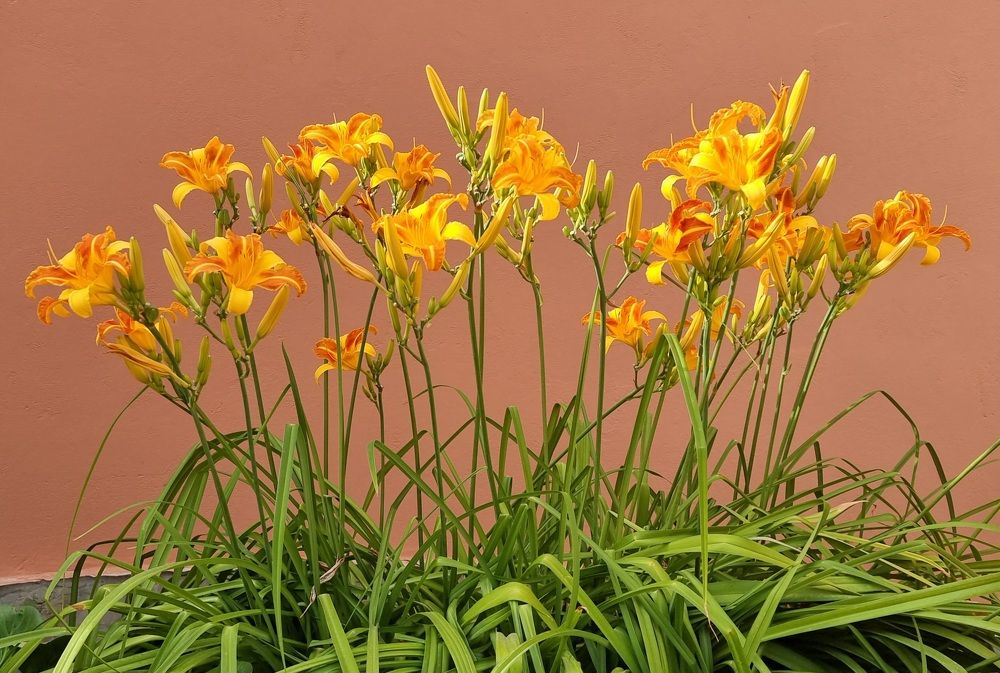 Photograph by Евгений Фесенко