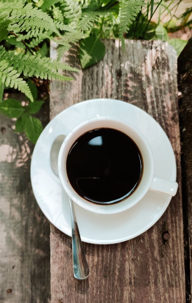 Фотография автора Ekaterina Sapezhinskaya