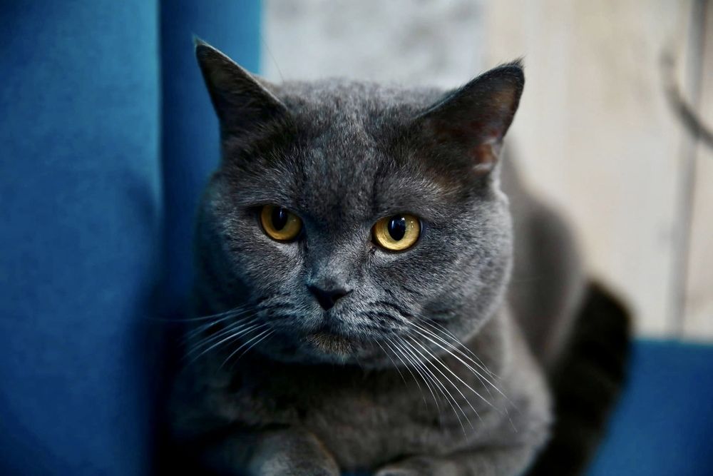 Photograph by Елена