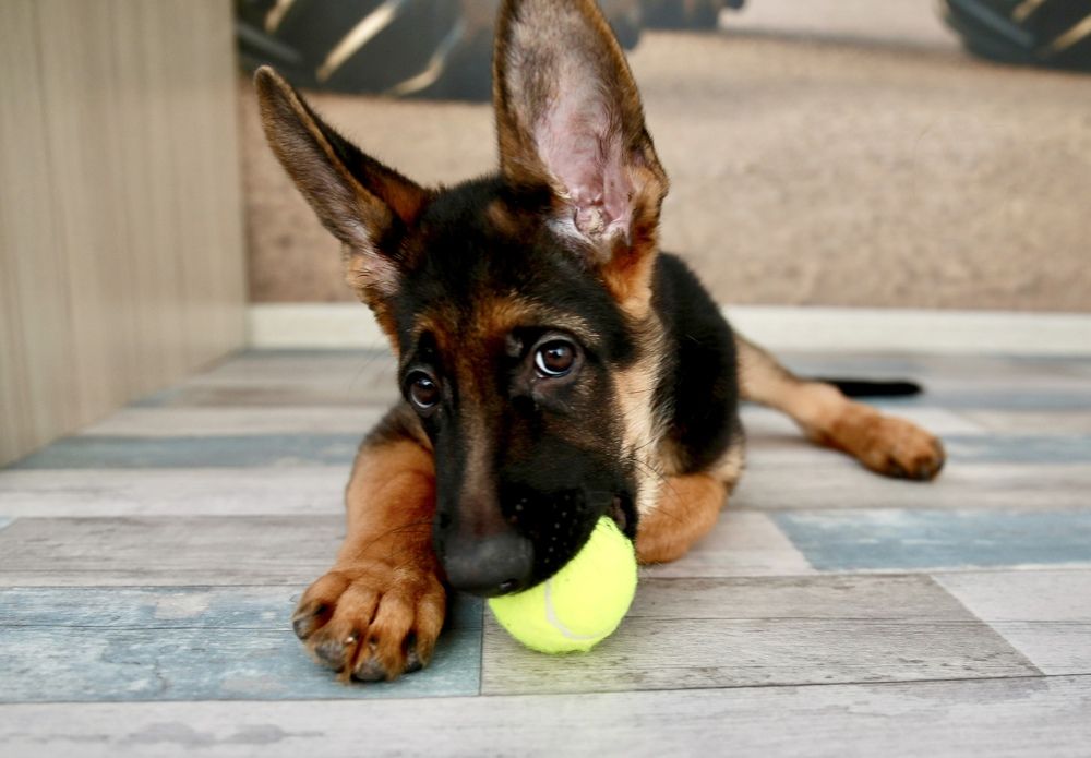 Photograph by Елена