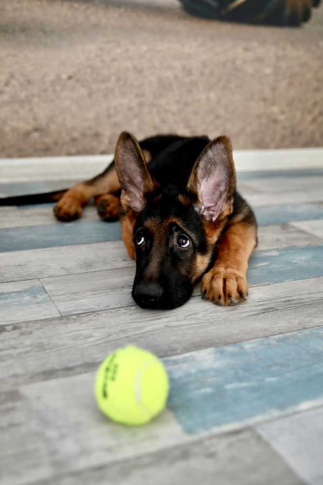 Photograph by Елена