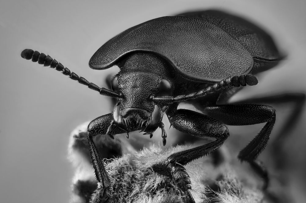 Photograph by Юрий Юрьевич