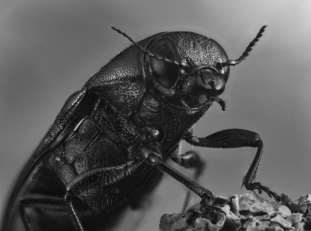 Photograph by Юрий Юрьевич