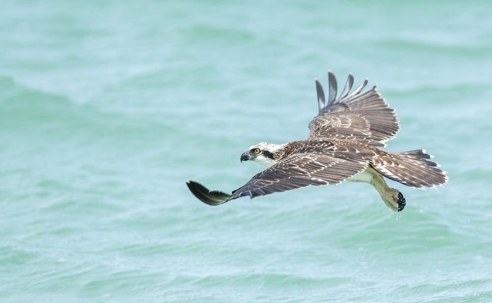 Photograph by Dennis Vagner