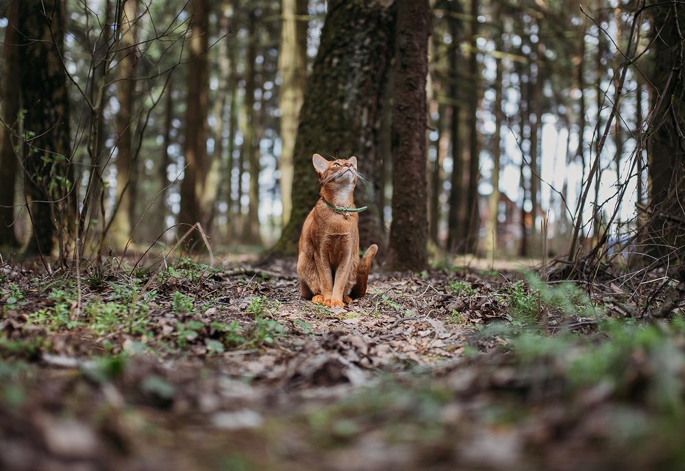 Photograph by Анна Артемова