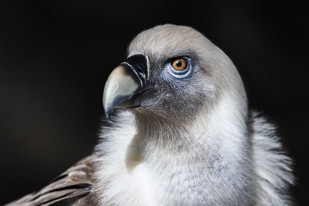 Photograph by Noureddine Belfethi