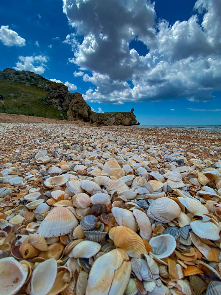 Photograph by Александра Сафронова