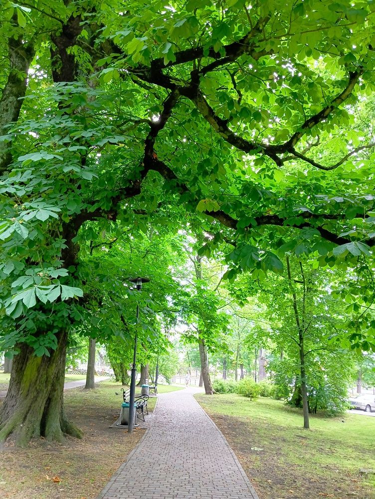 Photograph by Лилия Потравнова