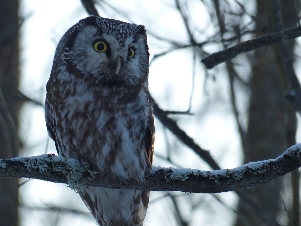 Photograph by Георгий Салюков