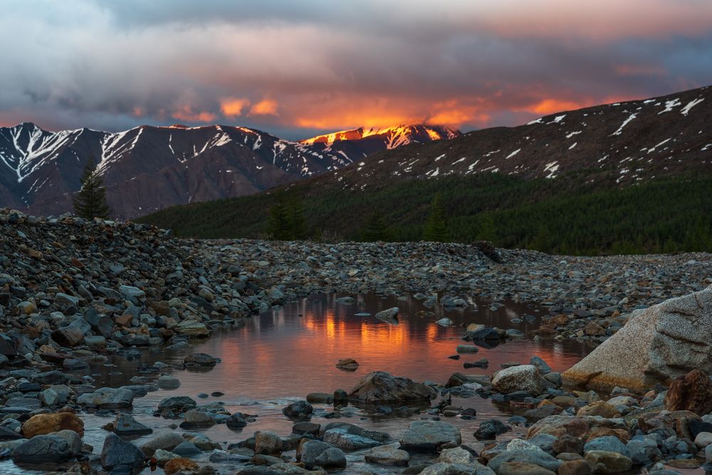 Photograph by Крицак Ольга