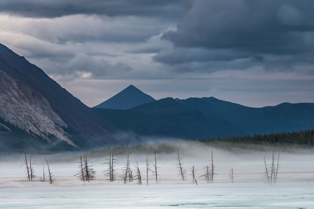 Photograph by Крицак Ольга