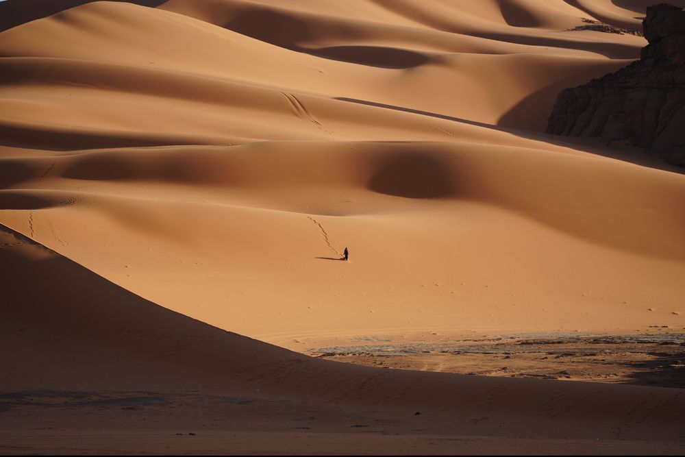 Фотография автора Светлана Зимина