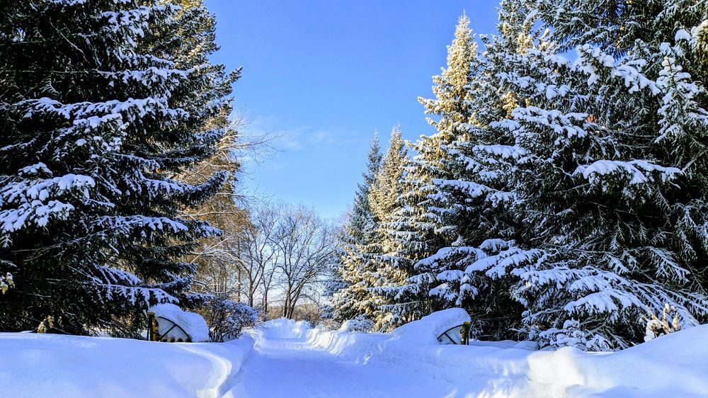 Фотография автора Евгений Даренский