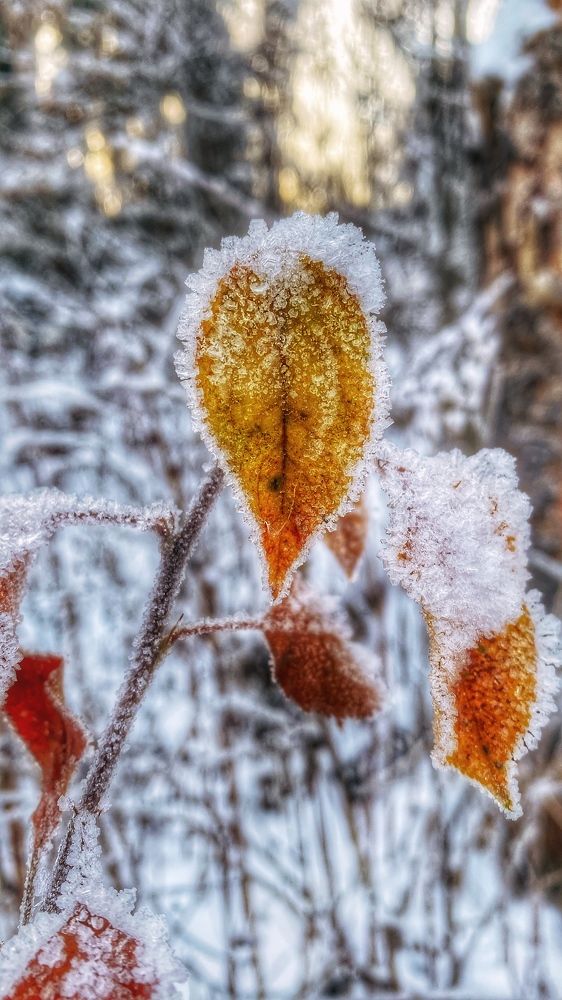 Photograph by Фисун Евгений