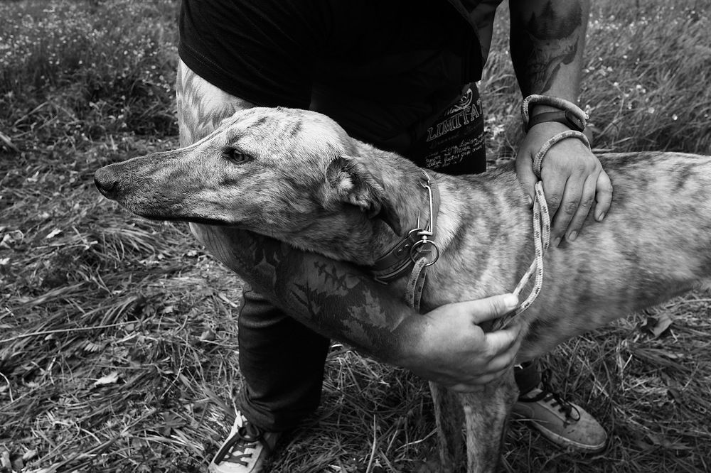 Photograph by Loptev Andrey