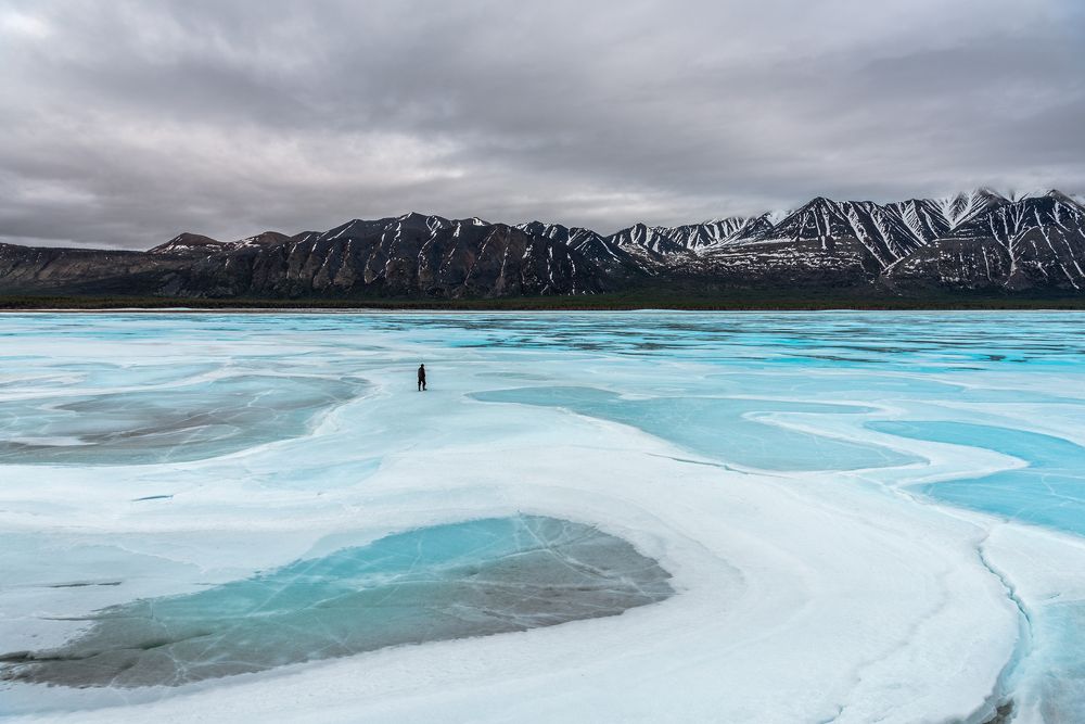 Photograph by Крицак Ольга