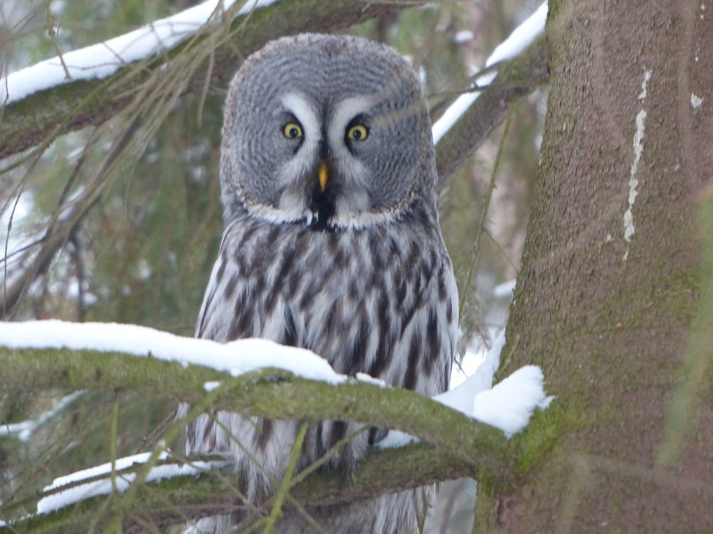 Photograph by Георгий Салюков