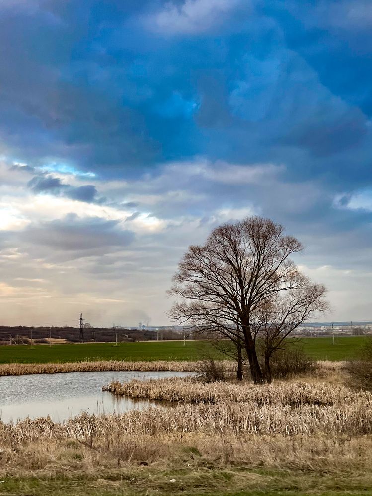 Photograph by Елена Сиушова