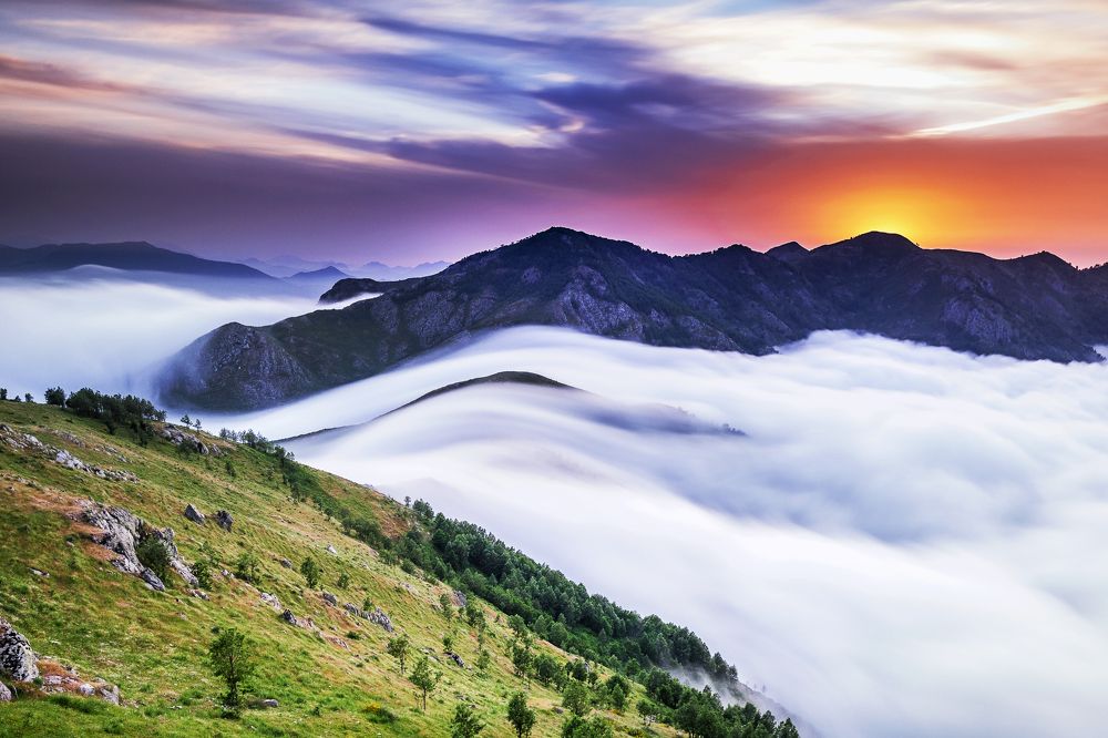 Photograph by Noureddine Belfethi